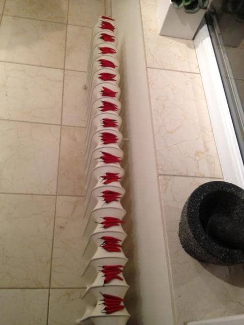 Red chillis drying on a white old fashioned radiator